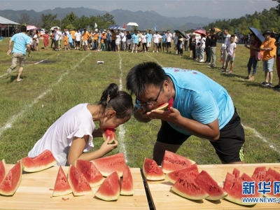 �����Sɽ������Ȥζ�\(y��n)��(d��ng)��(hu��)�g��(l��)����