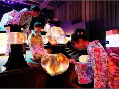 �ձ����ü����~ˇ�g(sh��)չ �\�[������������