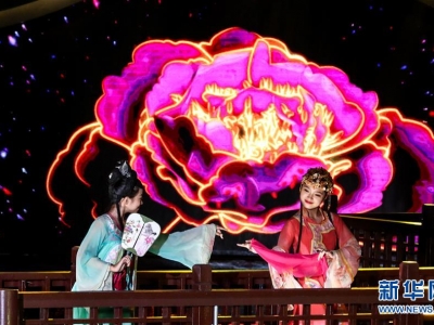 2019���{�ɰ�����ɽ���������(hu��)����