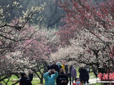 �Ͼ��|��÷����(zh��ng)�G���́�(l��i)