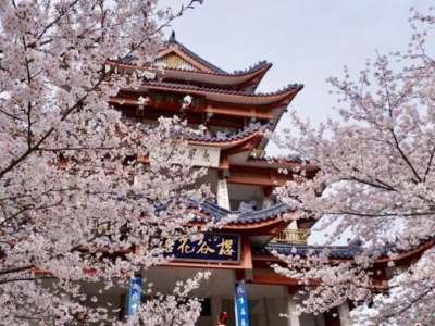 �o�a�x�^侙ѻ��M������^�p�� ���˸�������֮�s��