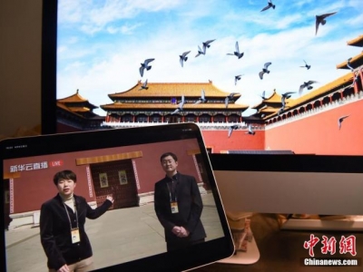 ���ٚq�ʌm2020�����_ֱ��