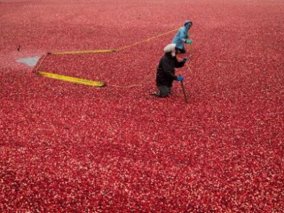 С�M���S���� ���[�����S��ʢ���M��ϲ��