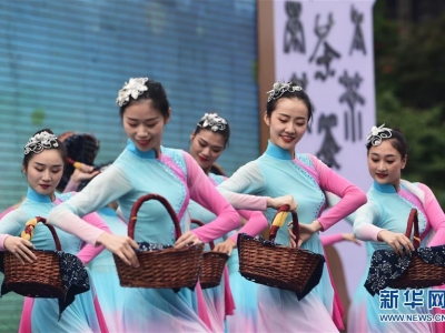 �ؑc���������������