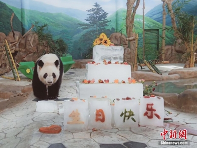 ������؈�����á�Ʒ�L�������⡱�^����