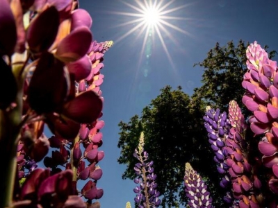 �������m�u������ŭ�� ꖹ�֮������̼t