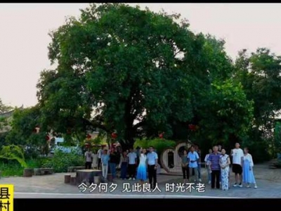 ���S�hһ�Ř�(sh��)��������ҕ��Ϧ���(hu��)