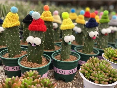 �M���l(xi��ng)������ġ������(j��ng)��(j��)