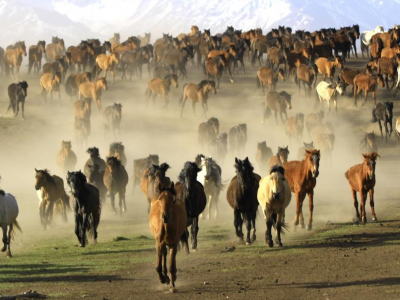 ���Bɽ�£��E�R���v